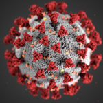 The Coronavirus: What You Need to Know